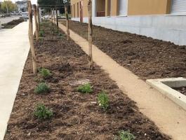 Le frontage citoyen à la résidence Flânerie des Chênes à Nantes